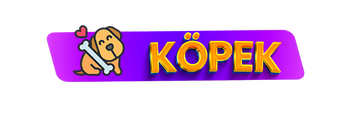 köpek malzemeleri pet shop
