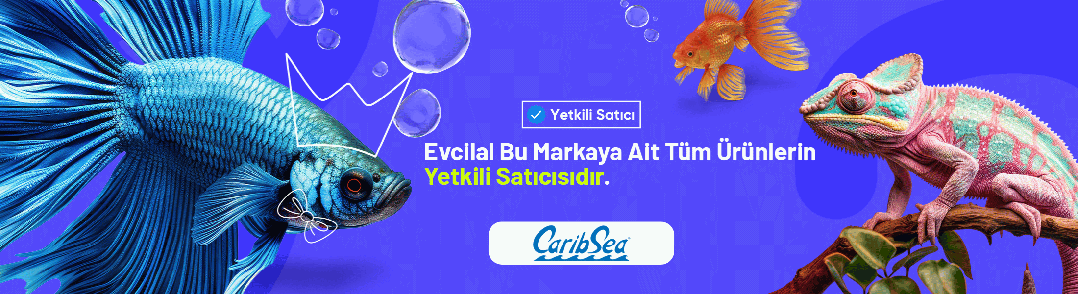 caribsea aragonit kum yetkili satıcı