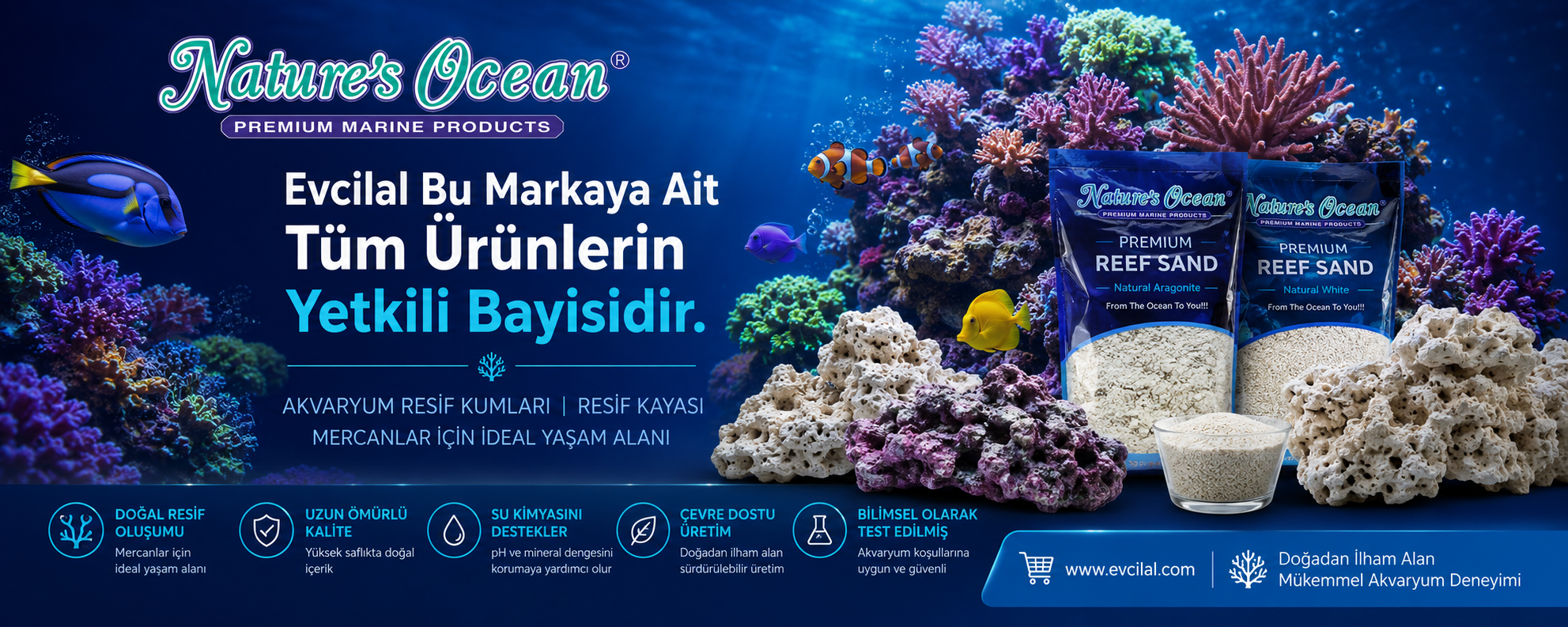 Natures Ocean Marka Deniz Akvaryumu Kumu ve Kayası