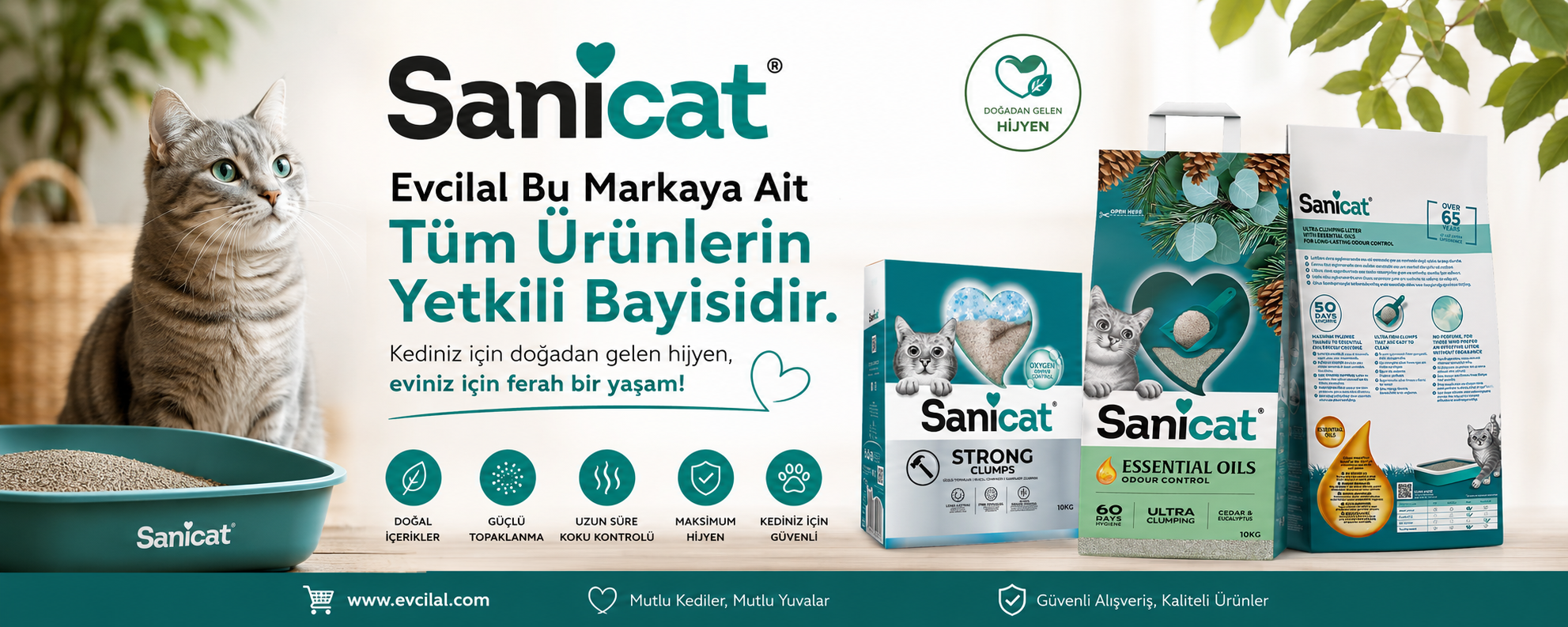 Sanicat Kedi Kumu Çeşitleri ve Fiyatları