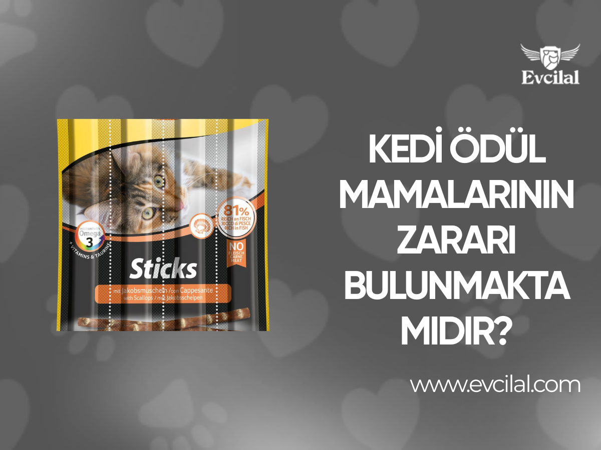 Kedi Ödül Mamalarının Zararı Bulunmakta Mıdır?