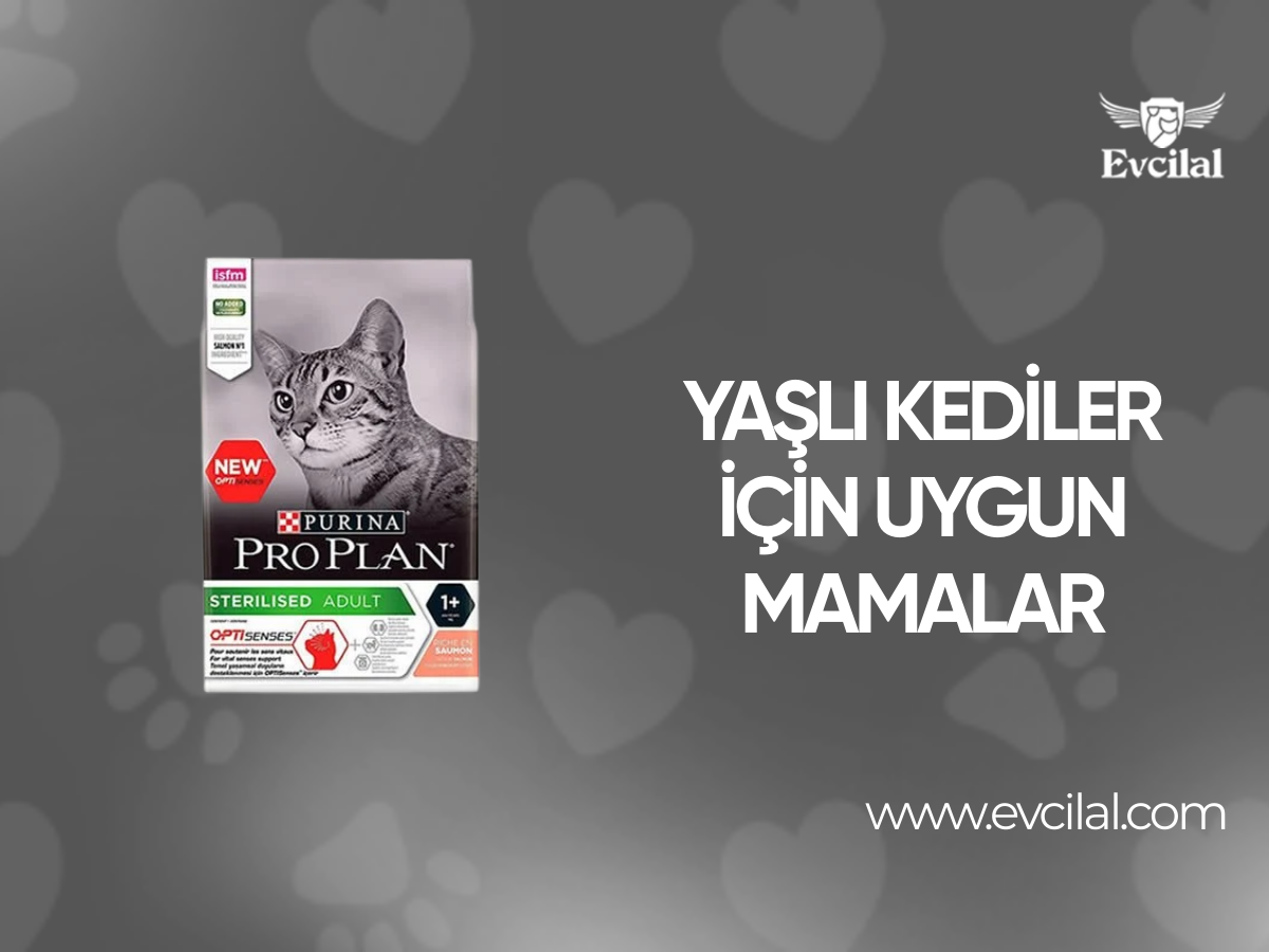 Yaşlı kedilerin beslenmesi için hangi mamalar tercih edilmelidir ?