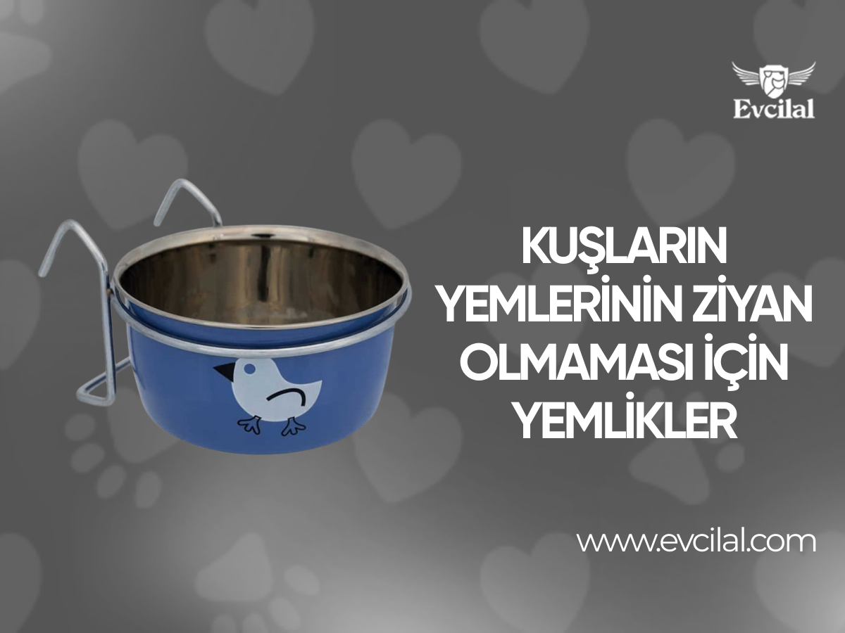 Kuşların Yemlerinin Ziyan Olmaması İçin Yemlikler
