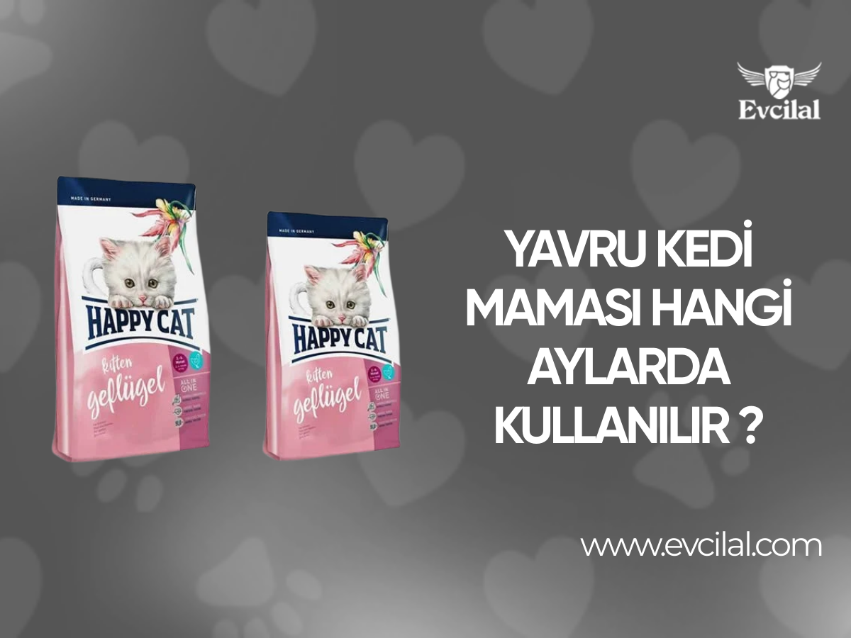 Yavru kedi maması hangi aylarda kullanılır ?