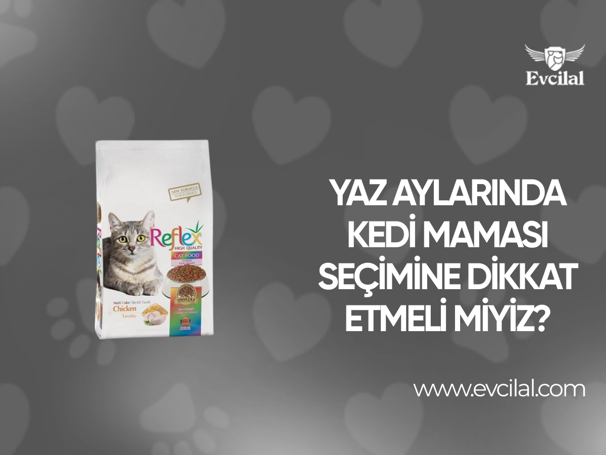 Yaz aylarında kedi maması seçimine dikkat etmeli miyiz?