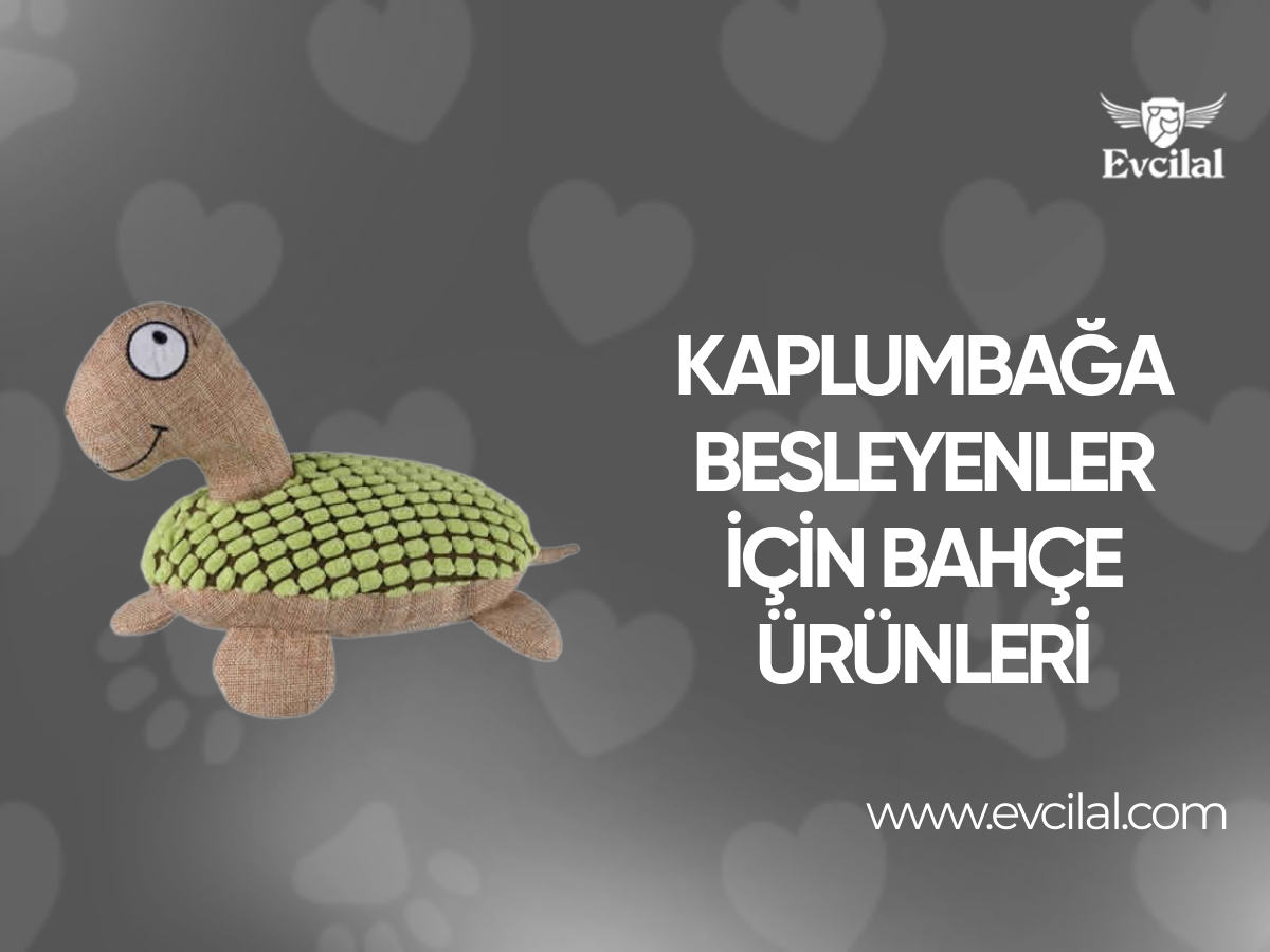 Evcil Hayvan Olarak Evinde Kaplumbağa Besleyenlerin Alabileceği Bahçe