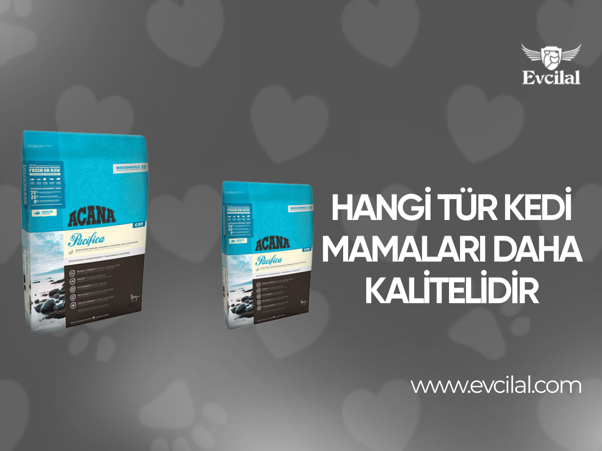 Hangi Tür Kedi Mamaları Daha Kalitelidir