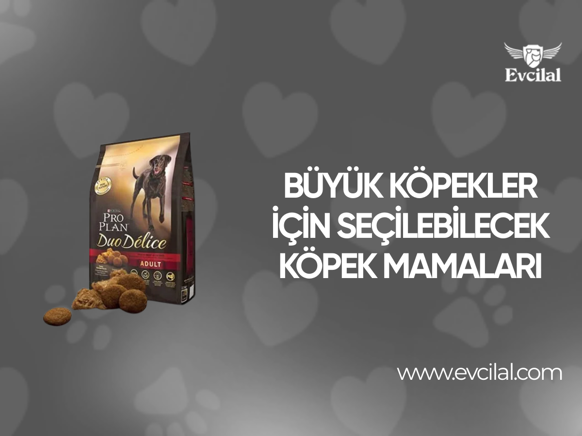 Büyük Köpekler İçin Seçilebilecek Köpek Mamaları