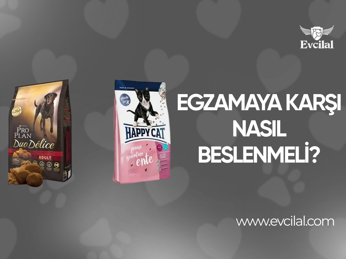 Egzamaya Karşı Nasıl Beslenmeli?