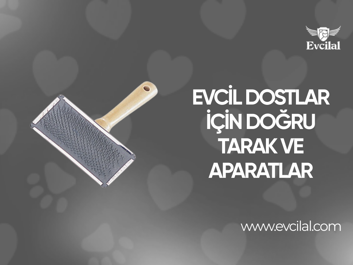 Kedi/Köpek Tarakları Ve Tüy Toplama Aparatları Nasıl Olmalıdır?