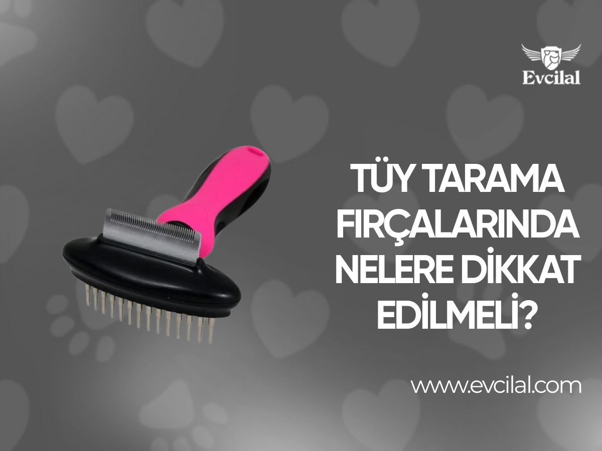 Tüy Tarama Fırçalarında Nelere Dikkat Edilmeli?