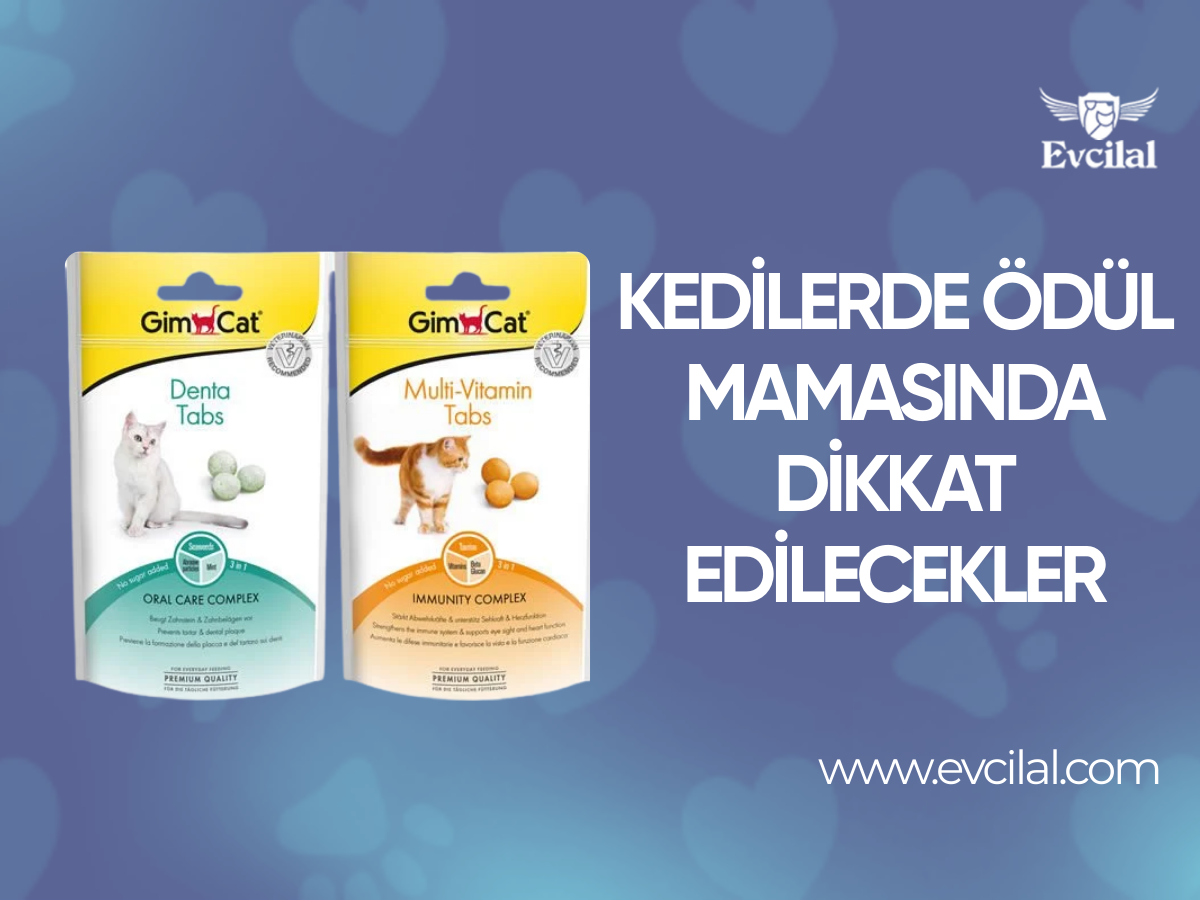 Kedilerde ödül maması kullanırken neye dikkat edilmeli?