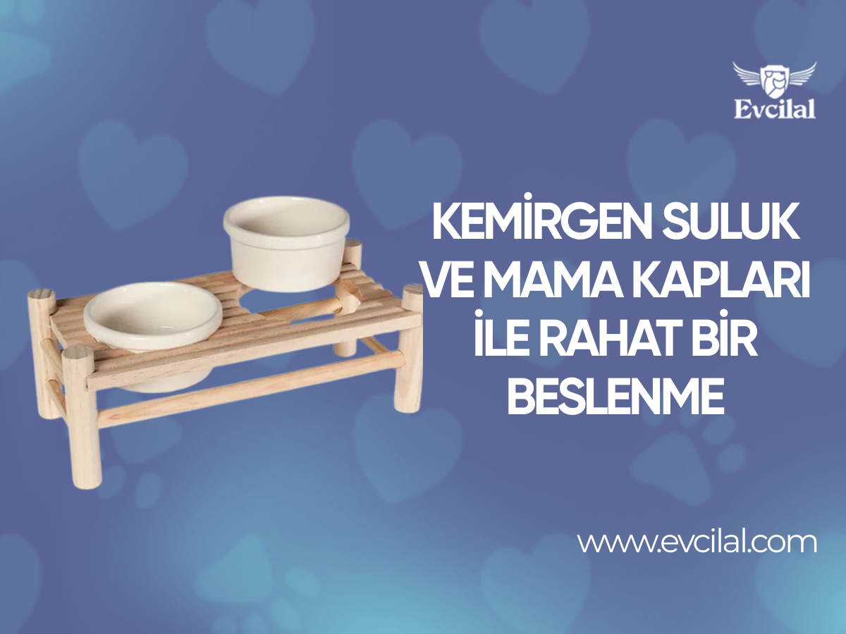 Kemirgen Suluk Ve Mama Kapları İle Rahat Bir Beslenme
