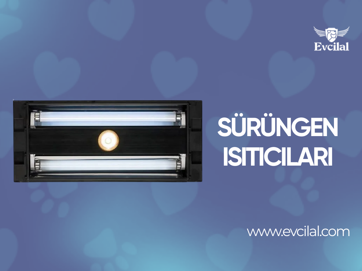 Sürüngen Isıtıcıları