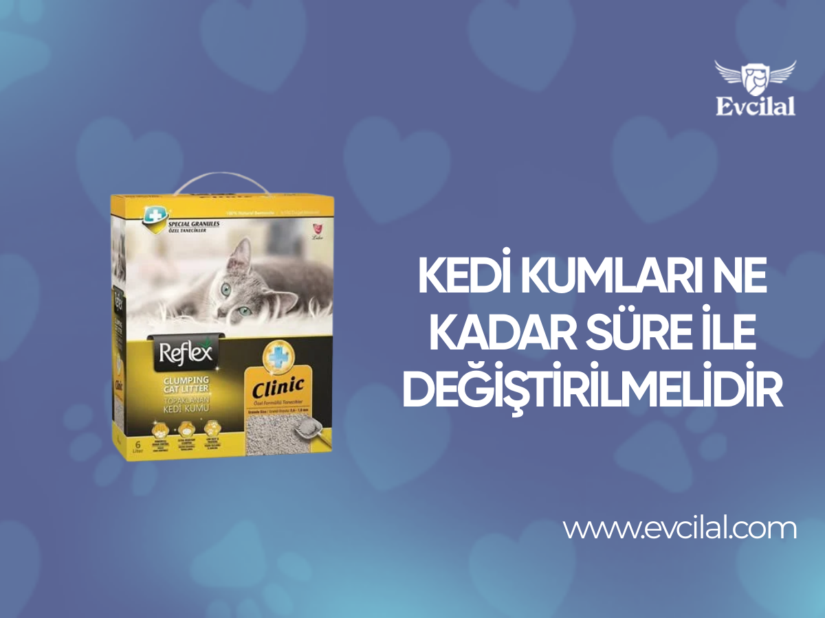 Kedi Kumları Ne Kadar Süre İle Değiştirilmelidir