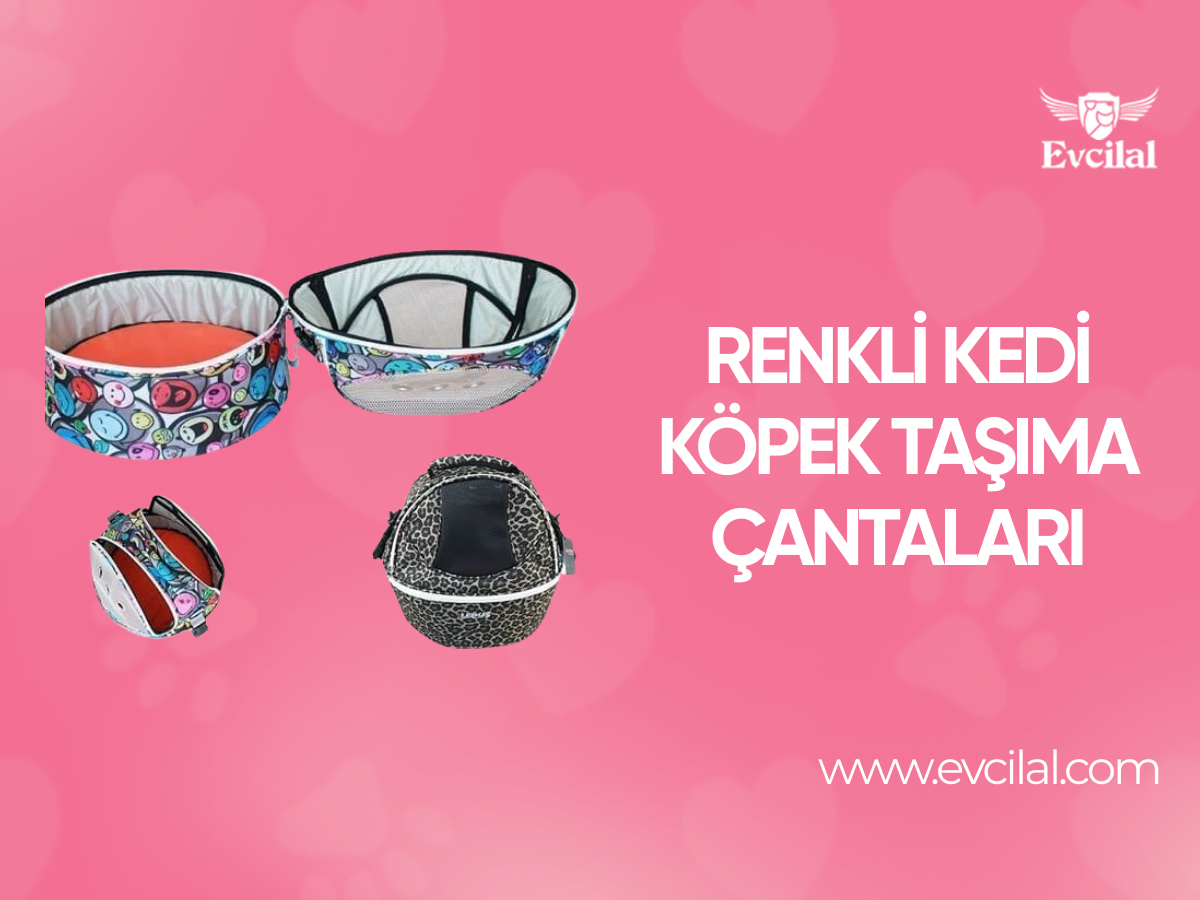 Tarzınızı Yansıtın! Renkli Kedi Köpek Taşıma Çantaları