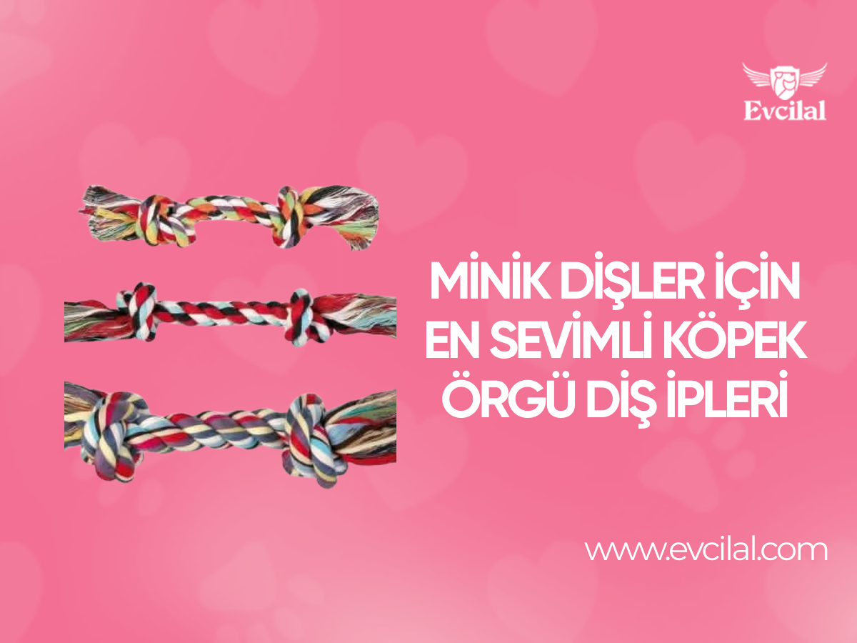 Minik Dişler İçin En Sevimli Köpek Örgü Diş İpleri