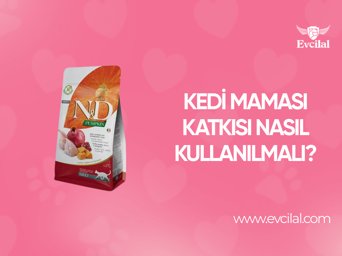 Kedi Maması Katkısı Nasıl Kullanılmalı?