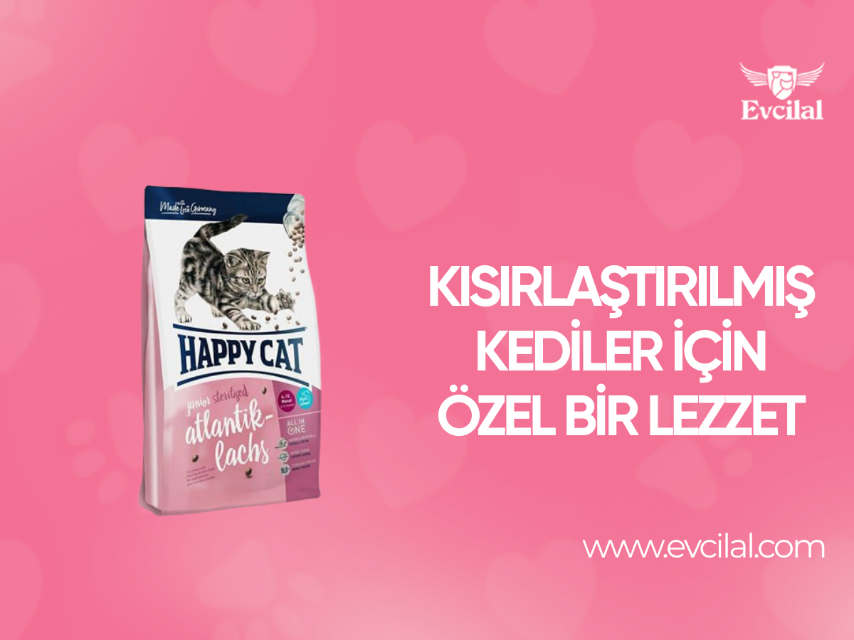 Kısırlaştırılmış Kediler İçin Özel Bir Lezzet