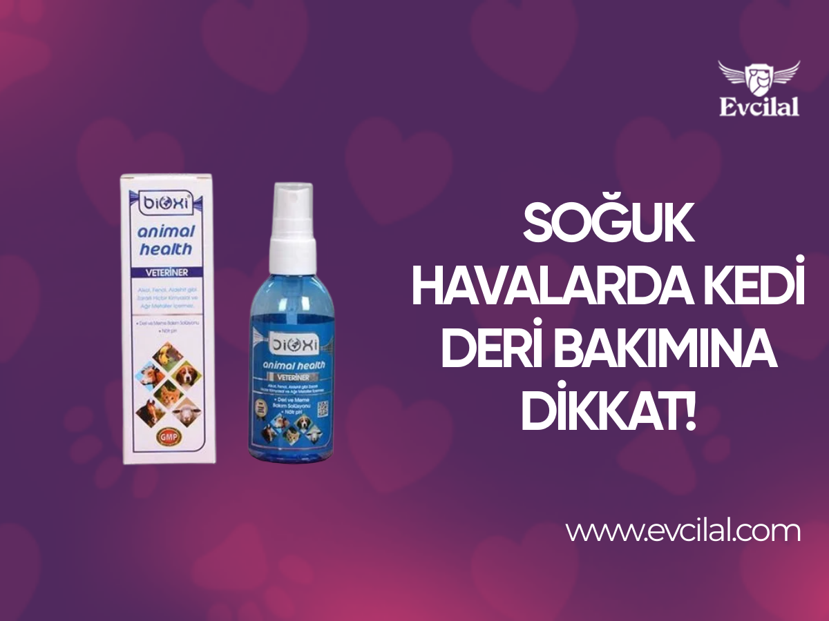Soğuk Havalarda Kedi Deri Bakımına Dikkat!