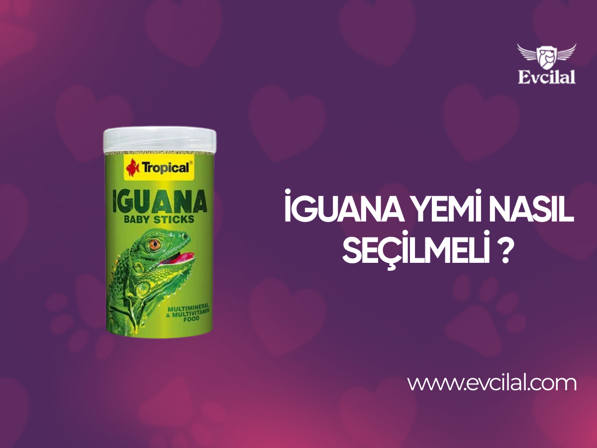 İguana Yemi Nasıl Seçilmeli ?