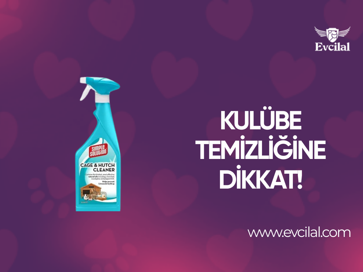 Kulübe Temizliğine Dikkat!