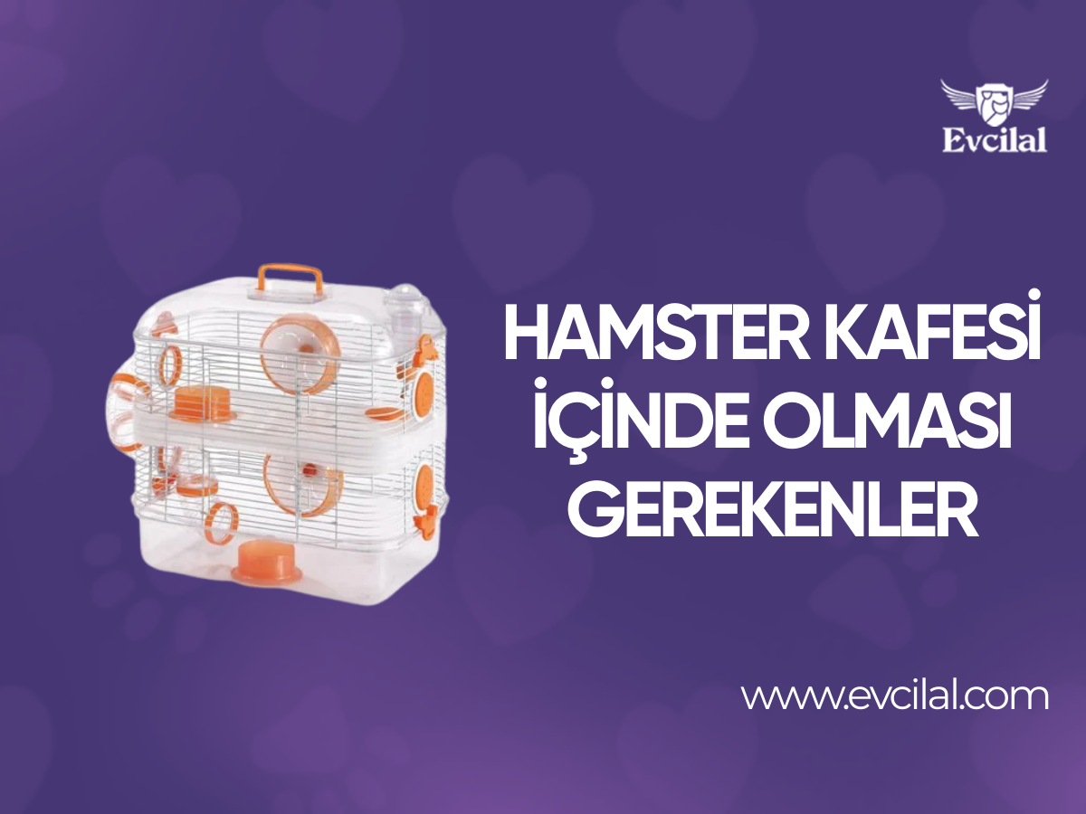 Hamster Kafesi İçinde Olması Gerekenler