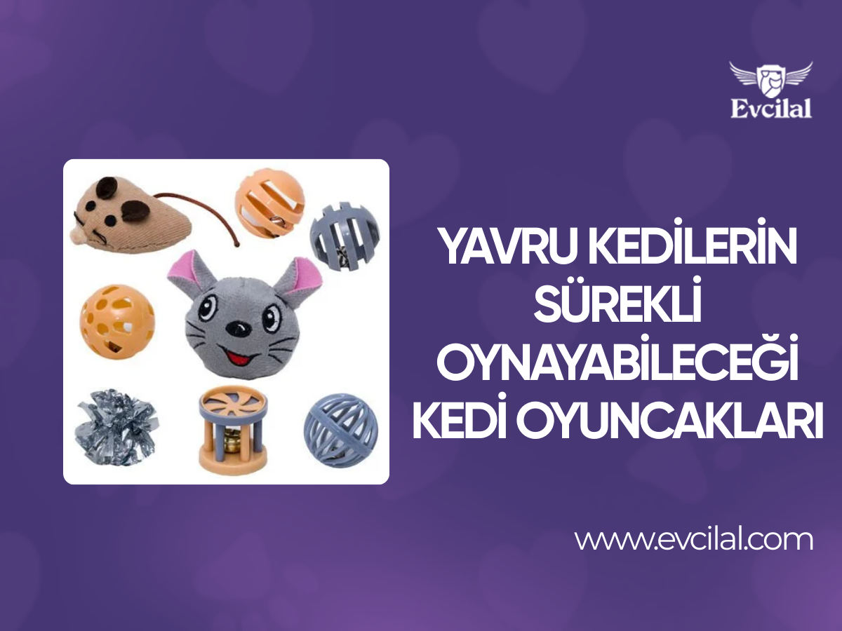 Yavru Kedilerin Sürekli Oynayabileceği Kedi Oyuncakları