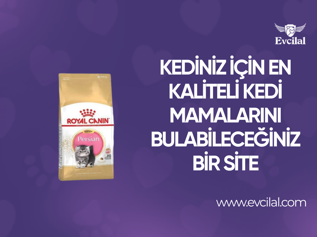 Kediniz için En Kaliteli Kedi Mamalarını Bulabileceğiniz Bir Site