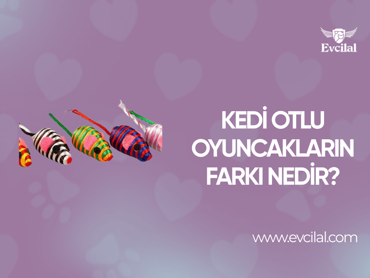 Kedi Otlu Oyuncakların Farkı Nedir?
