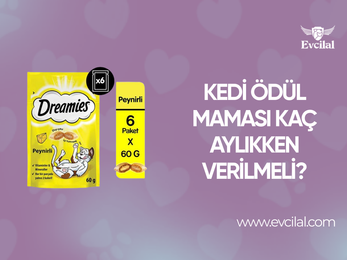 Kedi Ödül Maması Kaç Aylıkken Verilmeli?