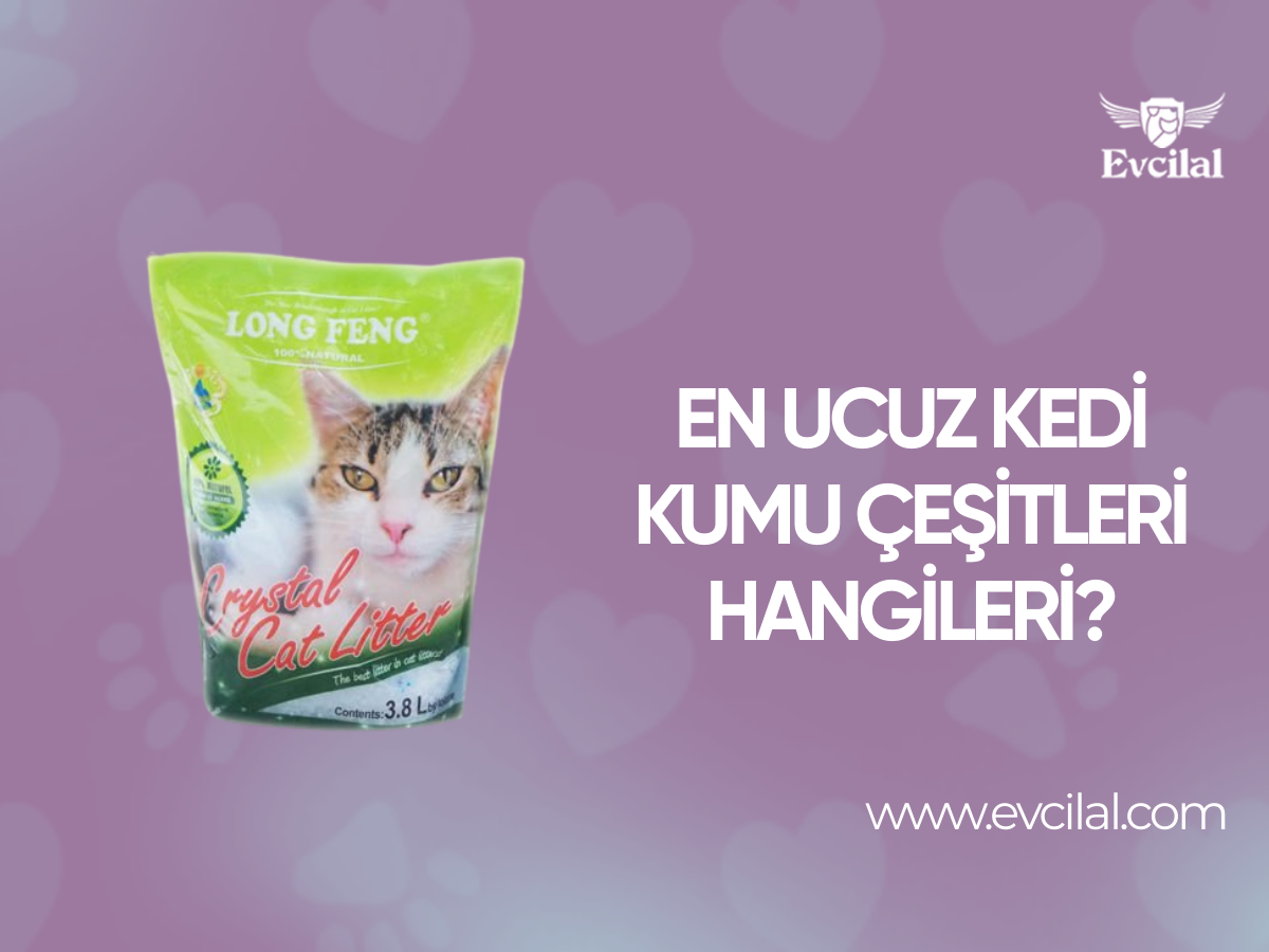 En Ucuz Kedi Kumu Çeşitleri Hangileri?