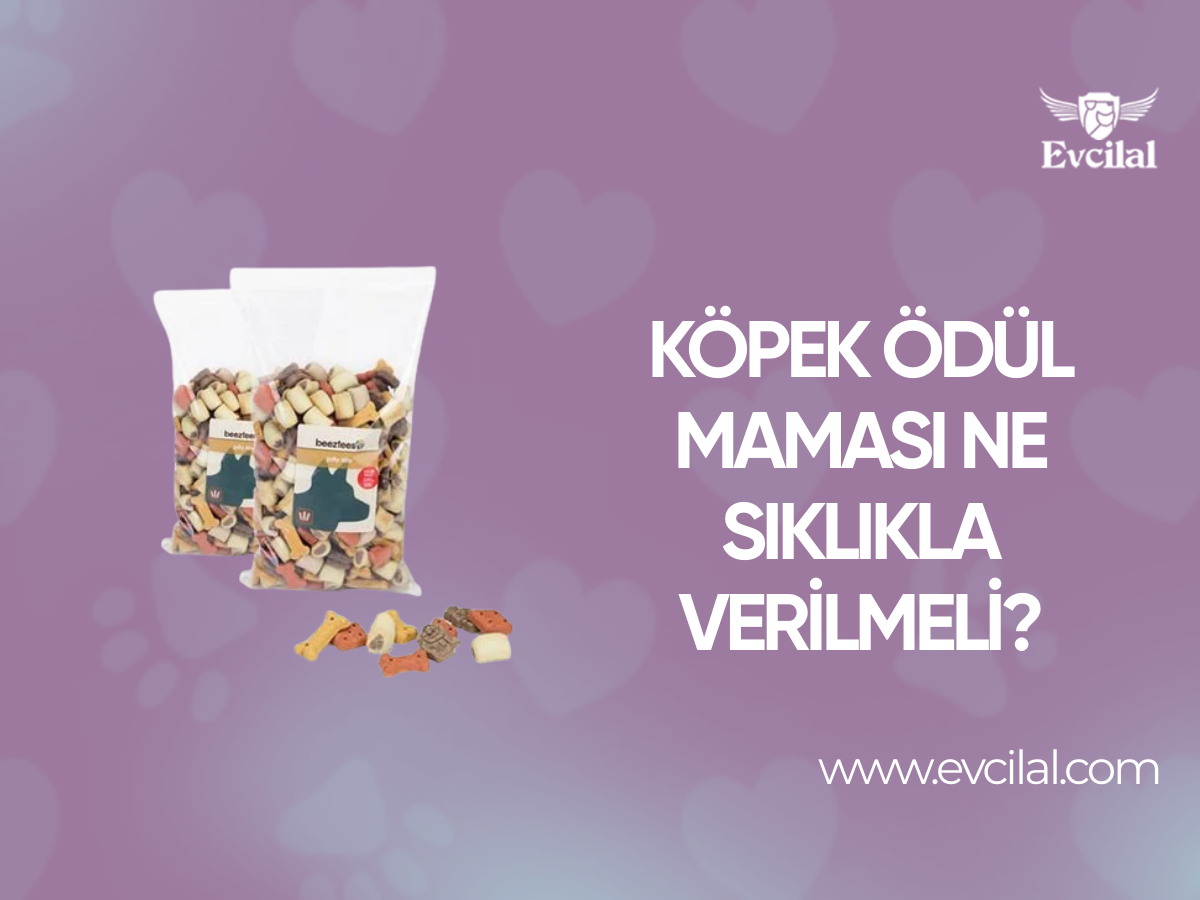 Köpek Ödül Maması Ne Sıklıkla Verilmeli?