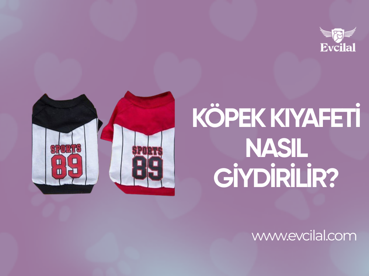 Köpek Kıyafeti Nasıl Giydirilir?