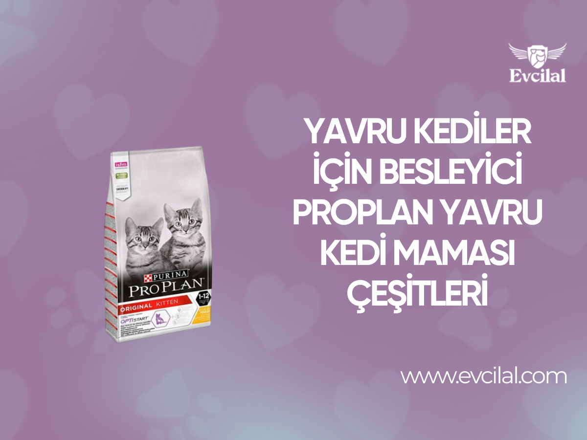 Yavru Kediler İçin Faydalı ve Zengin Besinlere Sahip Proplan Yavru Kedi Maması Çeşitleri