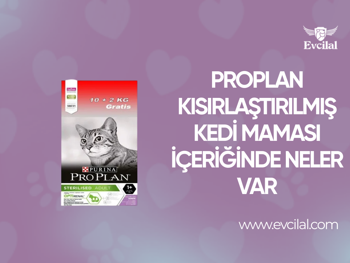 Proplan Kısırlaştırılmış Kedi Maması İçeriğinde Neler Var