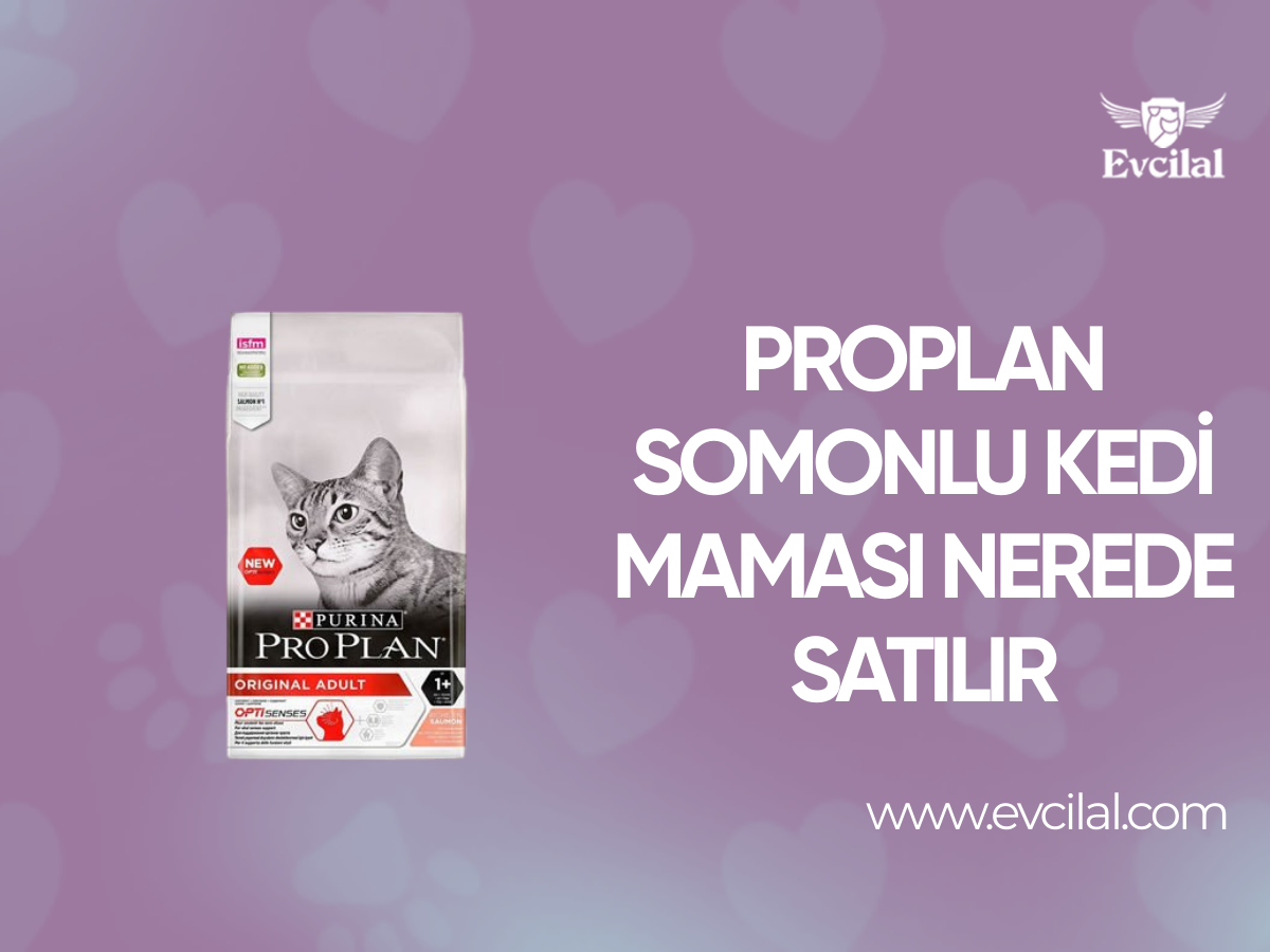 Proplan Somonlu Kedi Maması Nerede Satılır?