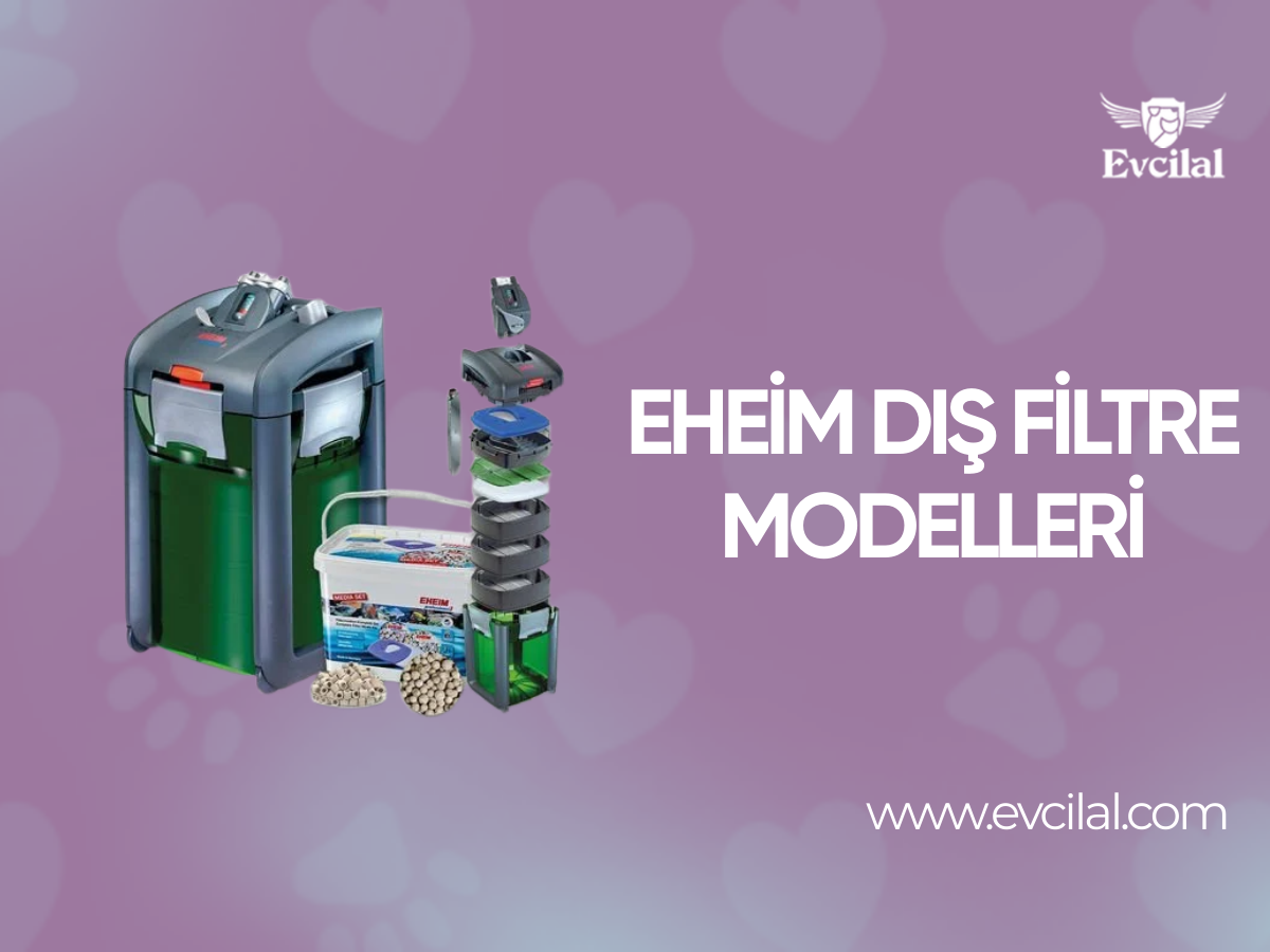 Eheim Dış Filtre Modelleri