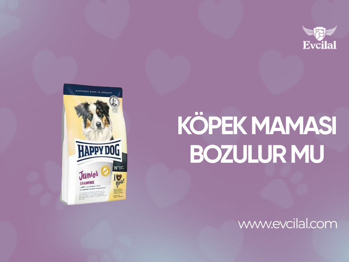 Köpek Maması Bozulur Mu