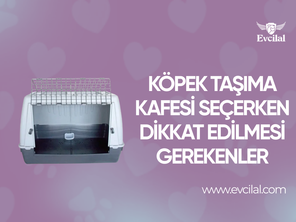 Yavru Köpeklere Hangi Marka Köpek Maması Verilmeli?