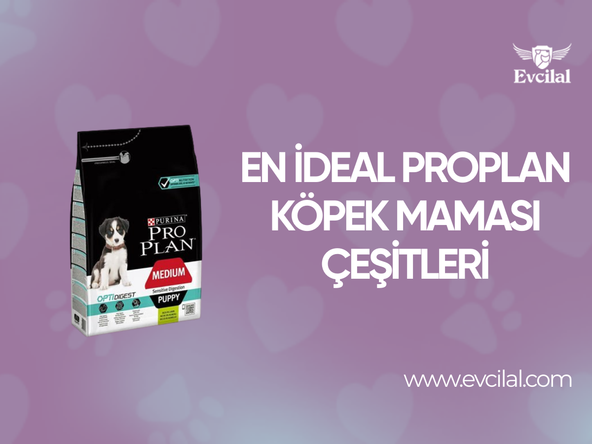 En İdeal Proplan Köpek Maması Çeşitleri
