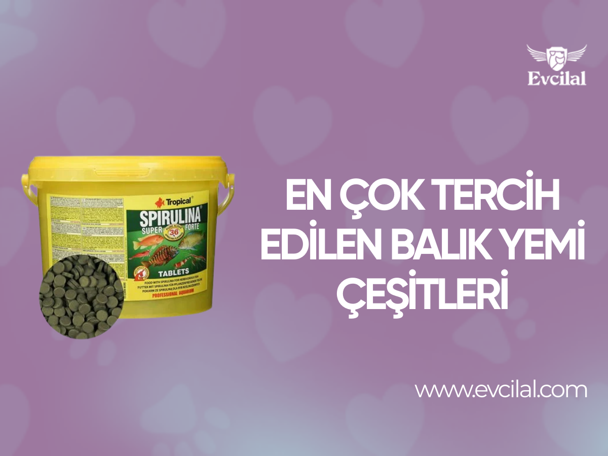En Çok Tercih Edilen Balık Yemi Çeşitleri