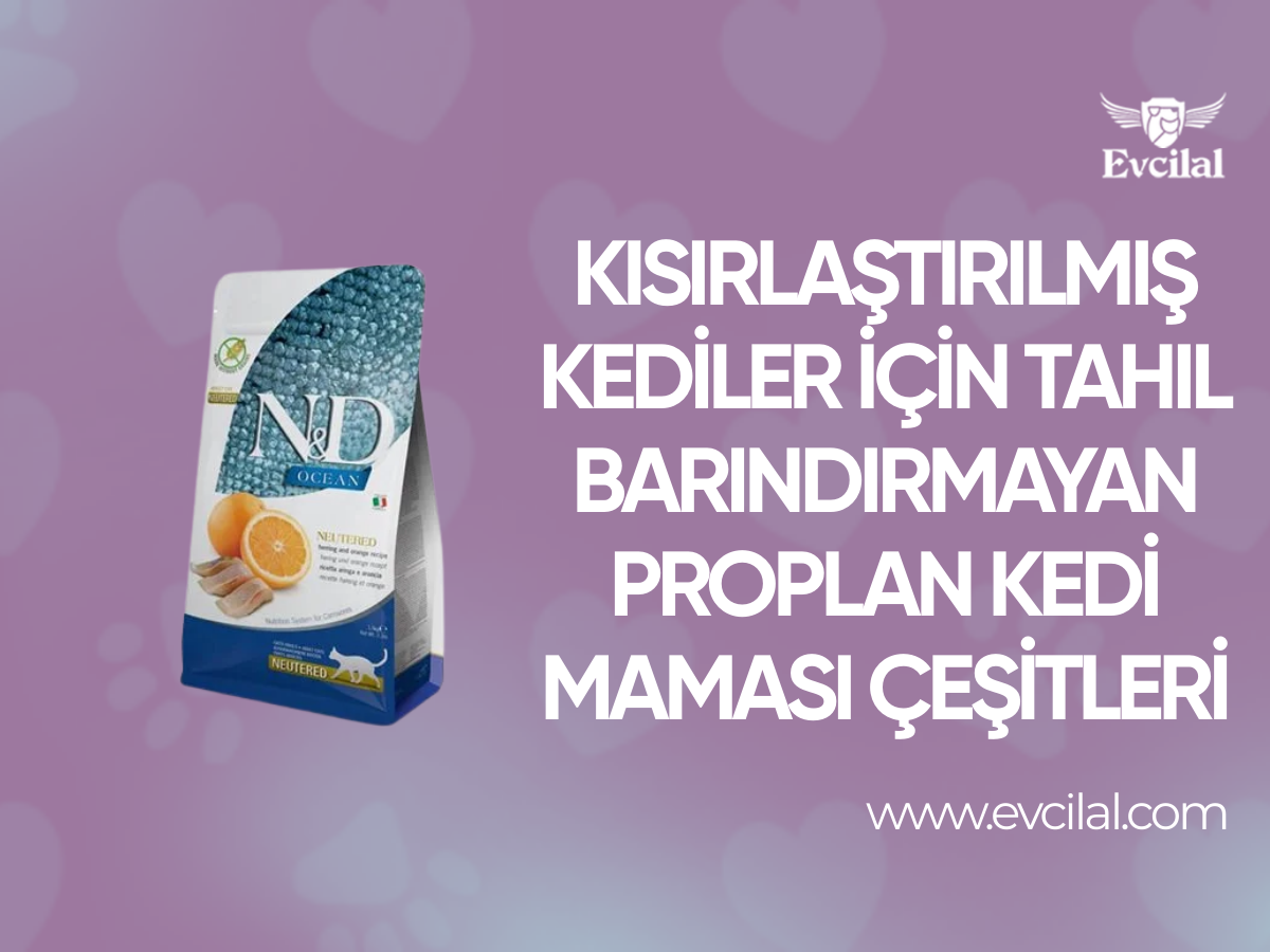 Kısırlaştırılmış Kediler İçin Tahıl Barındırmayan Proplan Kedi Maması Çeşitleri