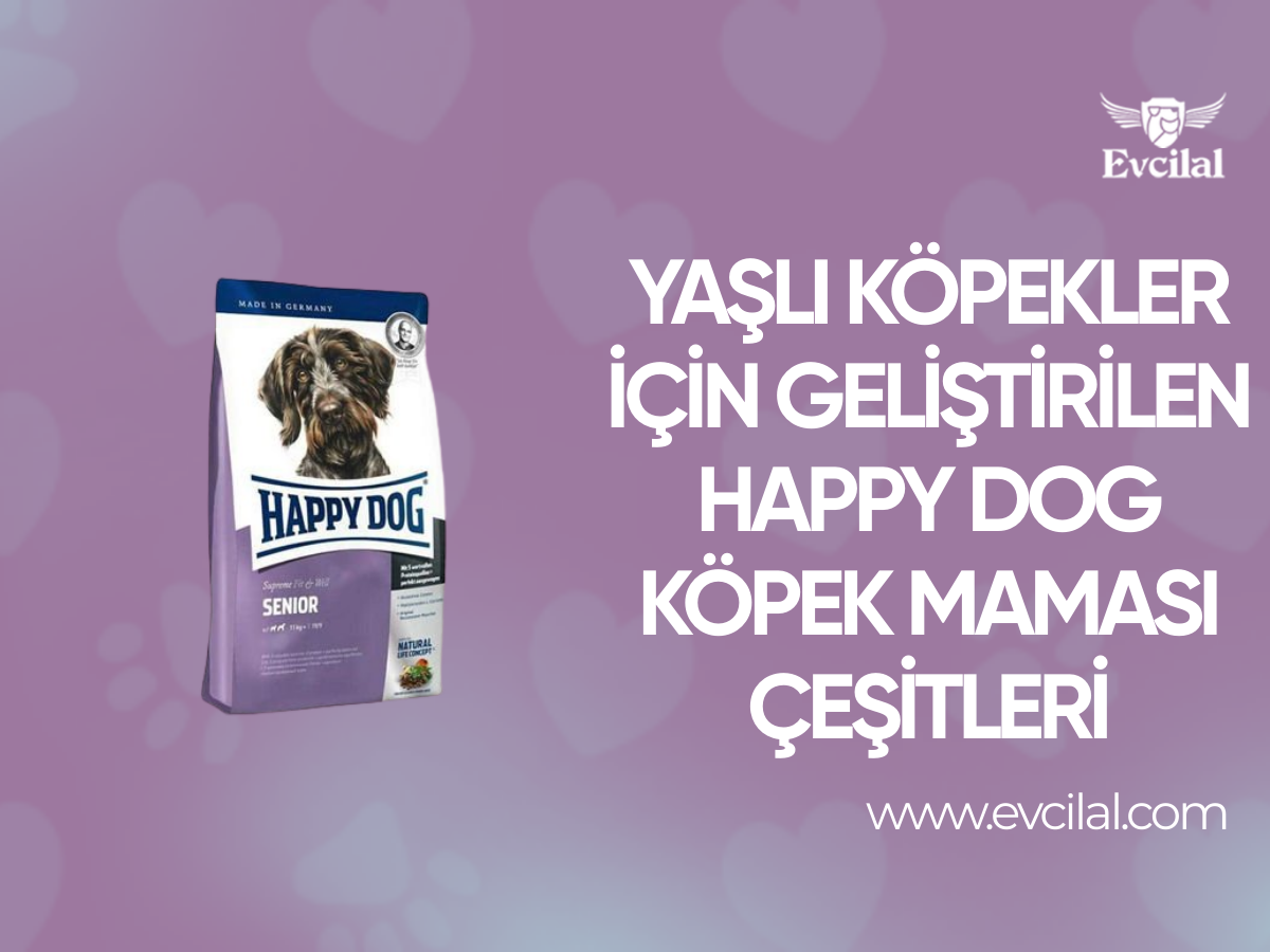 Kedilerin İhtiyaçlarına Uygun Olarak Üretilen Kedi Maması Çeşitleri