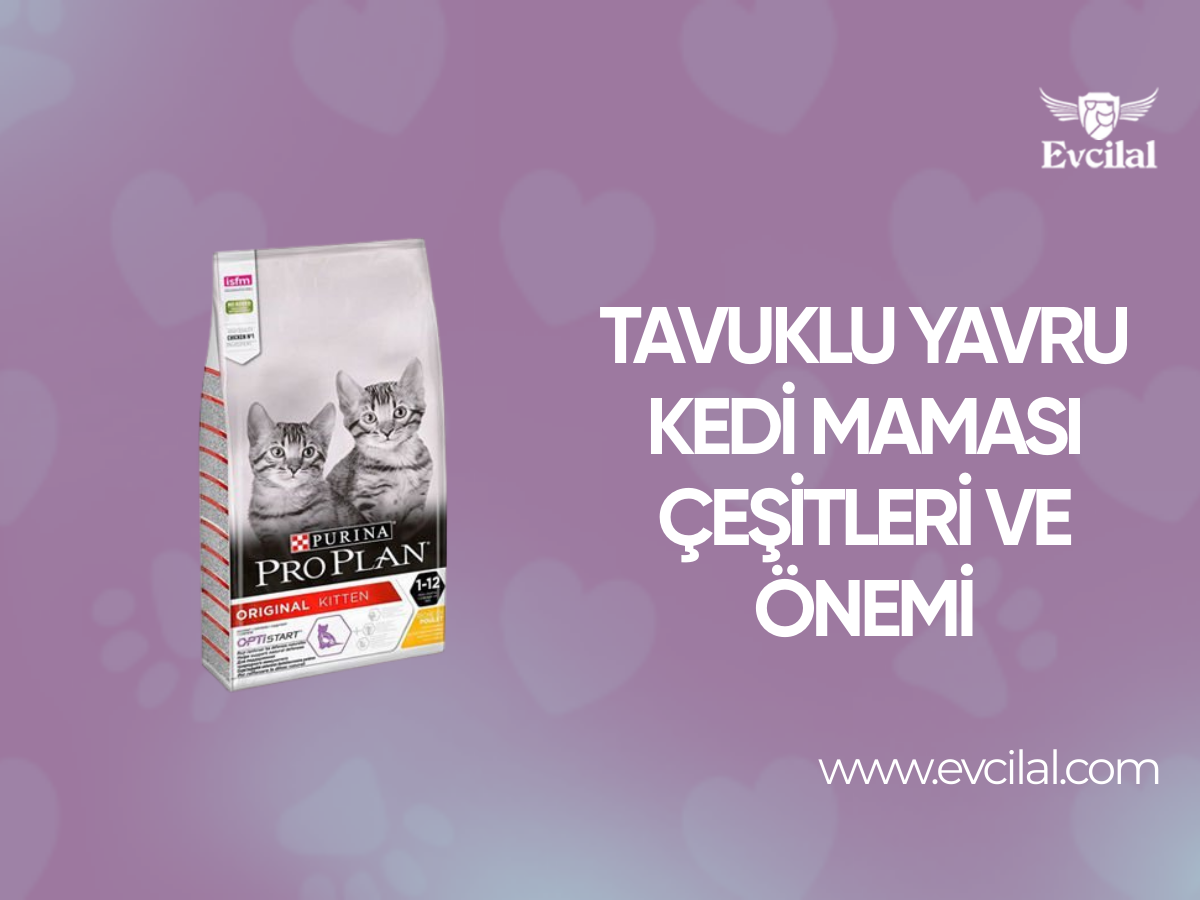 Tavuklu Yavru Kedi Maması Çeşitleri ve Önemi
