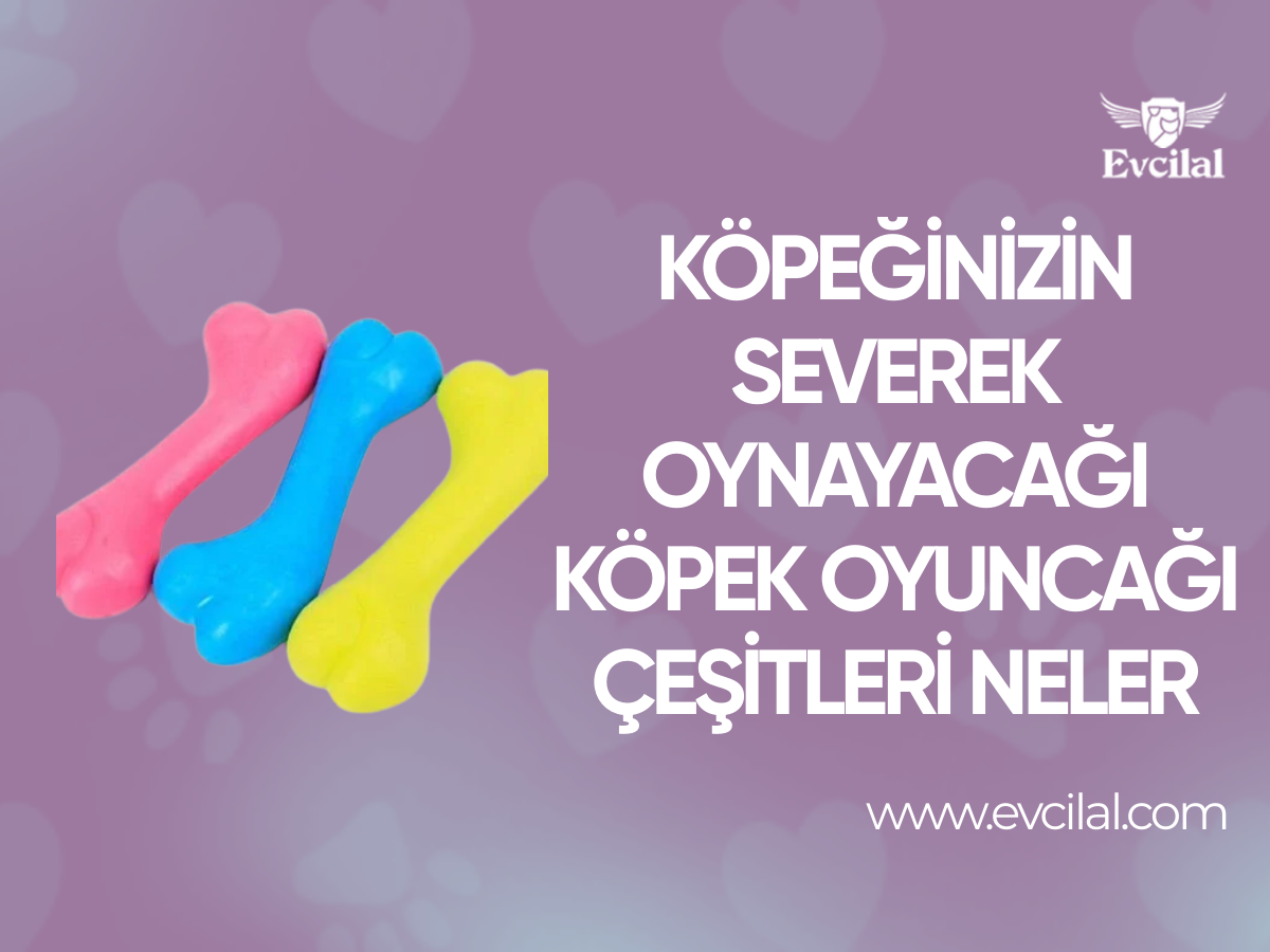 Köpeğinizin Severek Oynayacağı Köpek Oyuncağı Çeşitleri Neler?