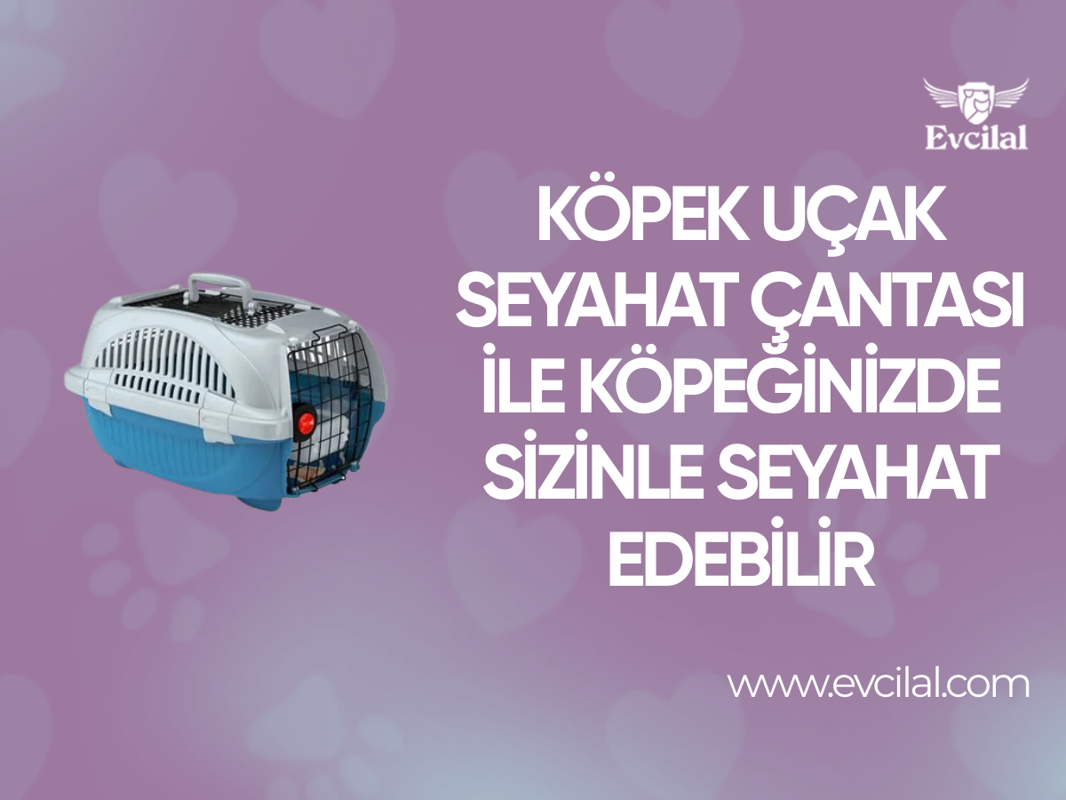 Köpek Uçak Seyahat Çantası İle Köpeğinizde Sizinle Seyahat Edebilir