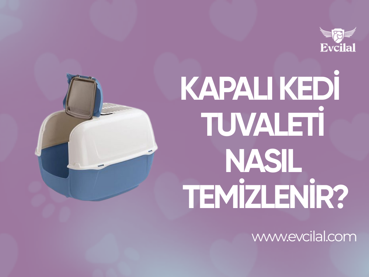 Kapalı Kedi Tuvaleti Nasıl Temizlenir