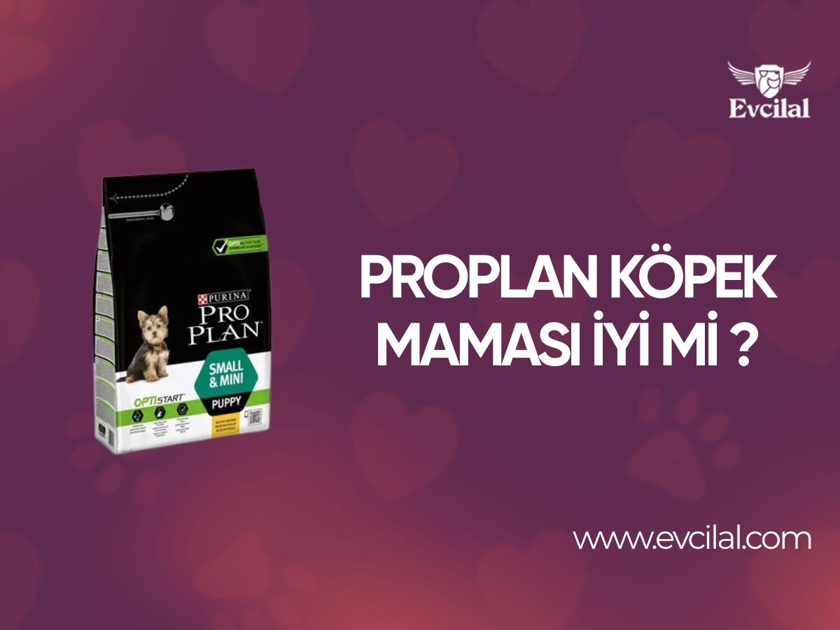 Proplan Köpek Maması İyi Mi?