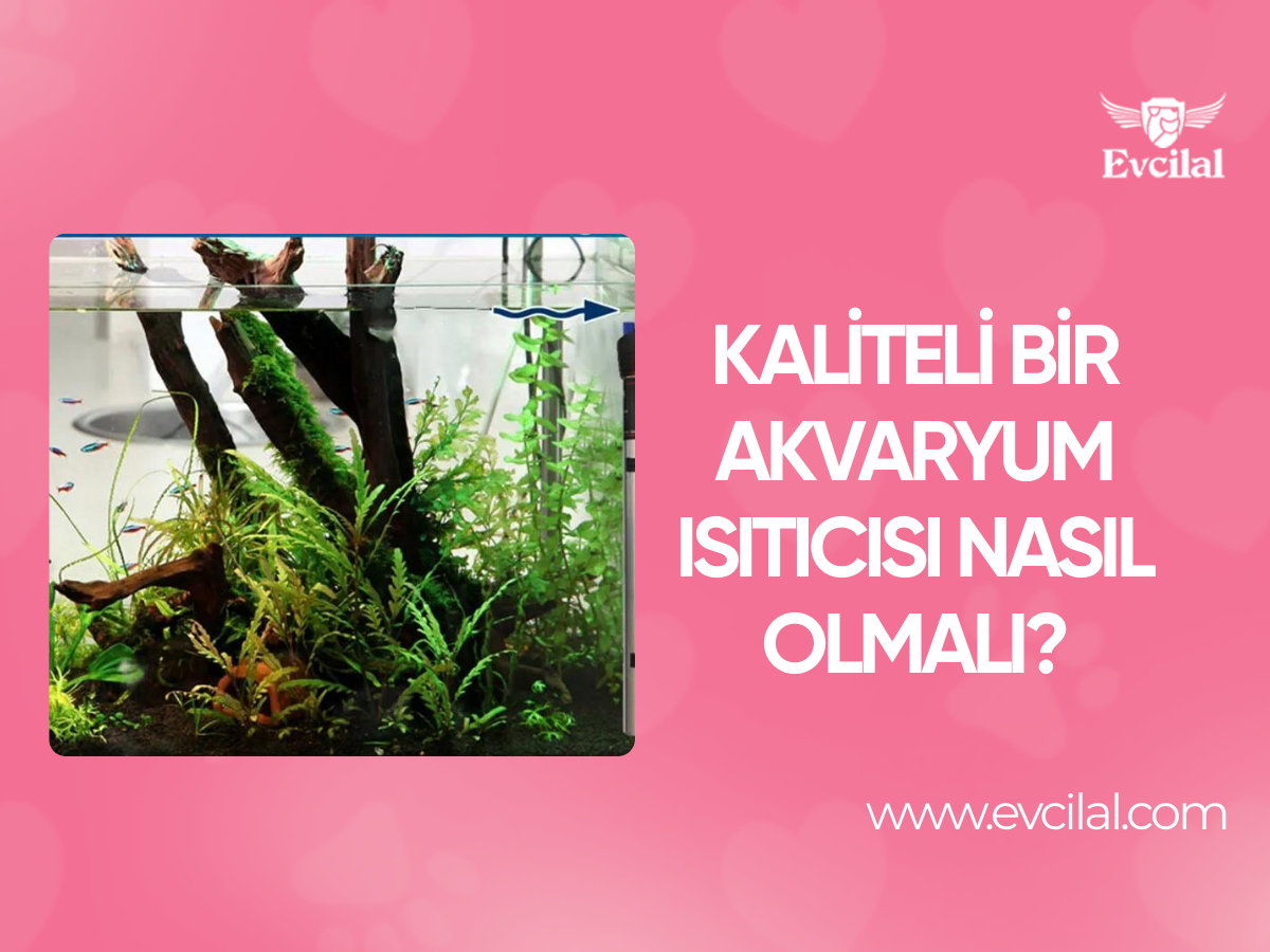 Kaliteli Bir Akvaryum Isıtıcısı Nasıl Olmalı